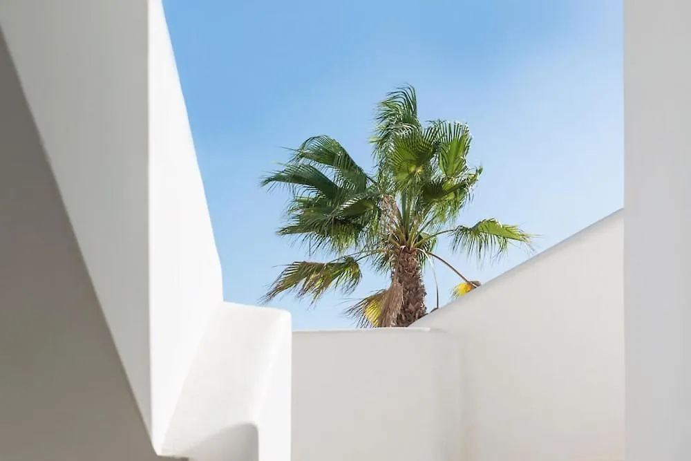 Playa D Embossa Vibra Apartment Playa d'en Bossa Spain